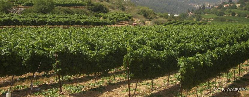 Fot. Bloomberg Fot. Bloomberg