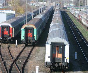 fot. Grzegorz Kawecki fot. Grzegorz Kawecki