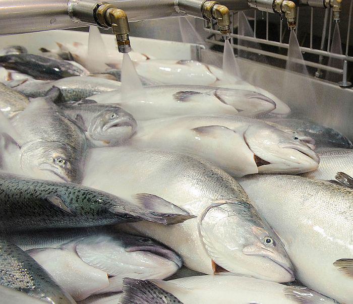 fot. Bloomberg fot. Bloomberg