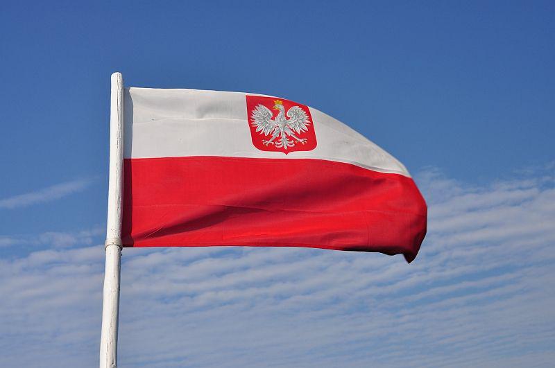 fot. Puls Biznesu, WST fot. Puls Biznesu, WST