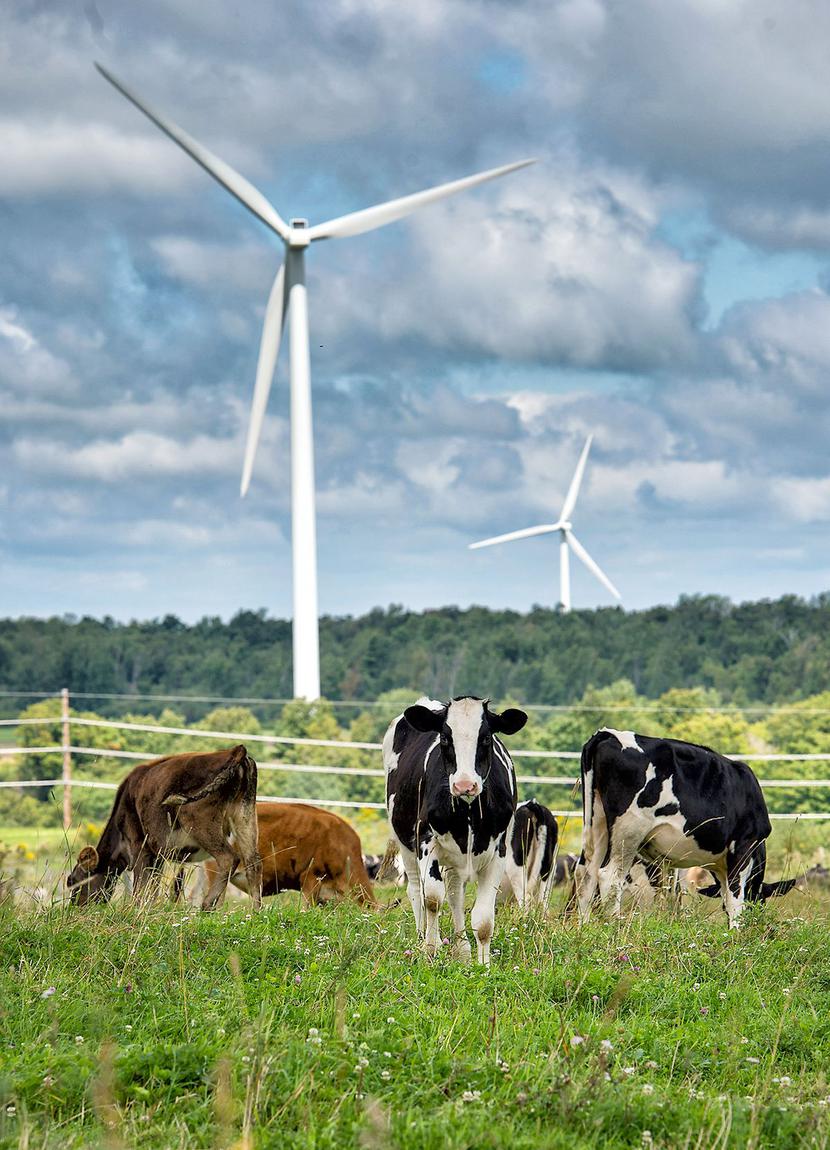 WIATROWA WSPÓŁPRACA: WIATROWA WSPÓŁPRACA: