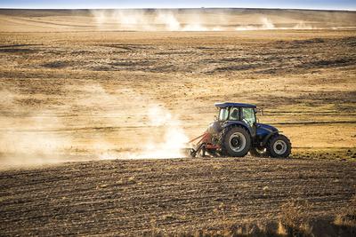 Zdaniem rolników pola po zejściu wody coraz bardziej przypominają stepy.