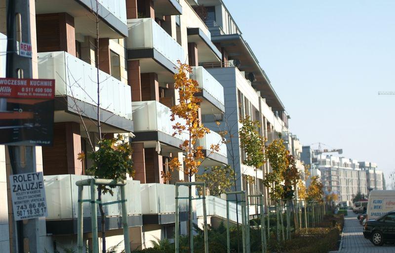 Dziś popularnością cieszą się przede wszystkim małe i tańsze mieszkania. Dziś popularnością cieszą się przede wszystkim małe i tańsze mieszkania.