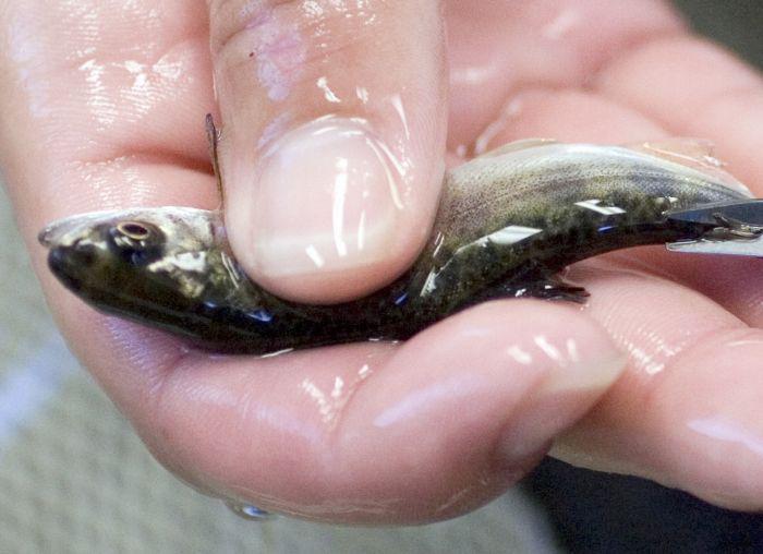 fot. Bloomberg fot. Bloomberg