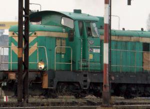 fot. Borys Skrzyński
fot. Borys Skrzyński