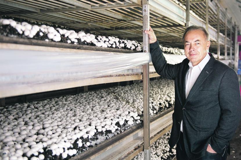 ELASTYCZNOŚĆ ZAMIAST INNOWACJI: ELASTYCZNOŚĆ ZAMIAST INNOWACJI: