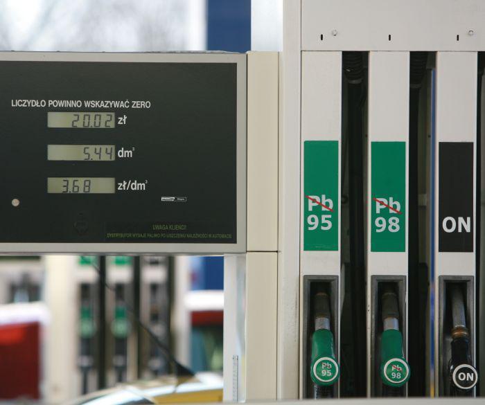 fot. Marek Wiśniewski fot. Marek Wiśniewski