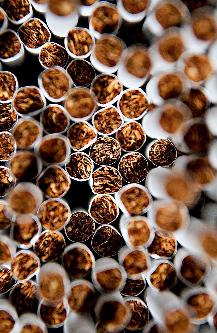 FOT. Bloomberg FOT. Bloomberg