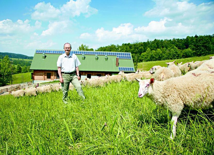 Roman Kluska, założyciel Optimusa, dziś hoduje owce w Beskidach i liczy na zyski z produkcji serów. (fot. ARC) Roman Kluska, założyciel Optimusa, dziś hoduje owce w Beskidach i liczy na zyski z produkcji serów. (fot. ARC)