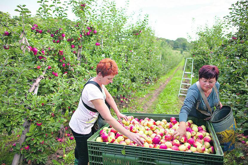 BEZ POWTÓRKI: BEZ POWTÓRKI: