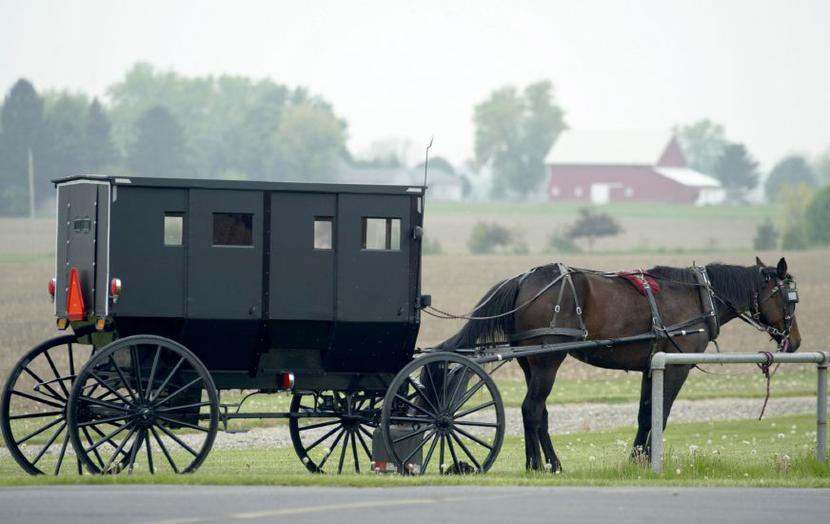 Czas się zatrzymał? Amisze nadal używają do transportu powozów i koni, które stały się już symbolem wspólnot fot. iStock Czas się zatrzymał? Amisze nadal używają do transportu powozów i koni, które stały się już symbolem wspólnot fot. iStock