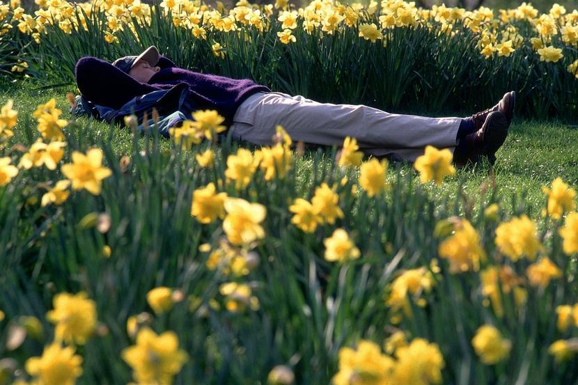 Relaks, wypoczynek Relaks, wypoczynek