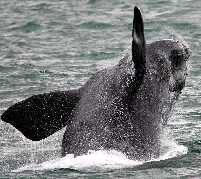 fot. Bloomberg fot. Bloomberg