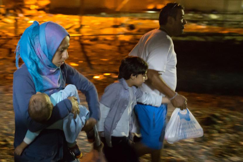Imigranci Imigranci
