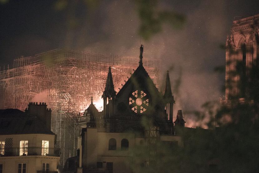 Katedra Notre Dame Katedra Notre Dame