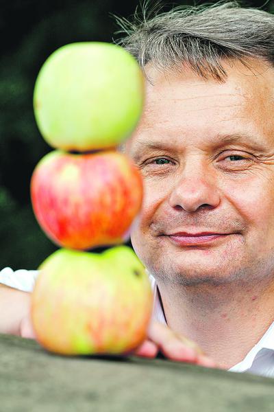 BEZ EKSPORTU: Mirosław Maliszewski, prezes Związku Sadowników RP, przyznaje, że ostatnio tak duże straty branża poniosła w sezonie 1986/87. Nie będzie miała co wysyłać na eksport. Problem w tym, że inne sadownicze kraje są w podobnej sytuacji.