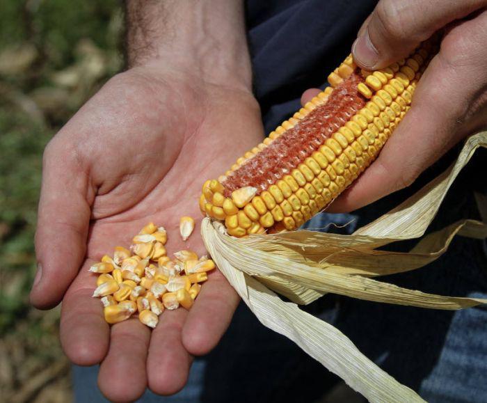 fot. Bloomberg fot. Bloomberg