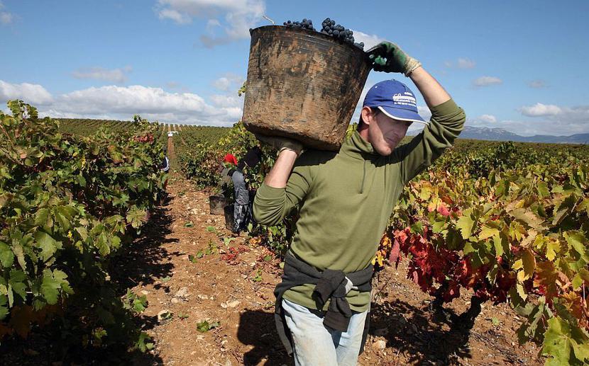 foto: Bloomberg foto: Bloomberg