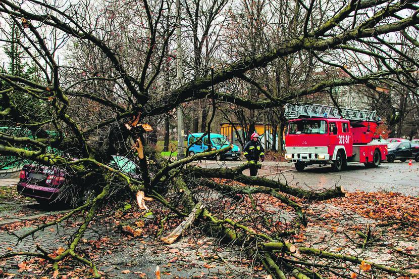 fot. Maciek Kulczyński, PAP fot. Maciek Kulczyński, PAP
