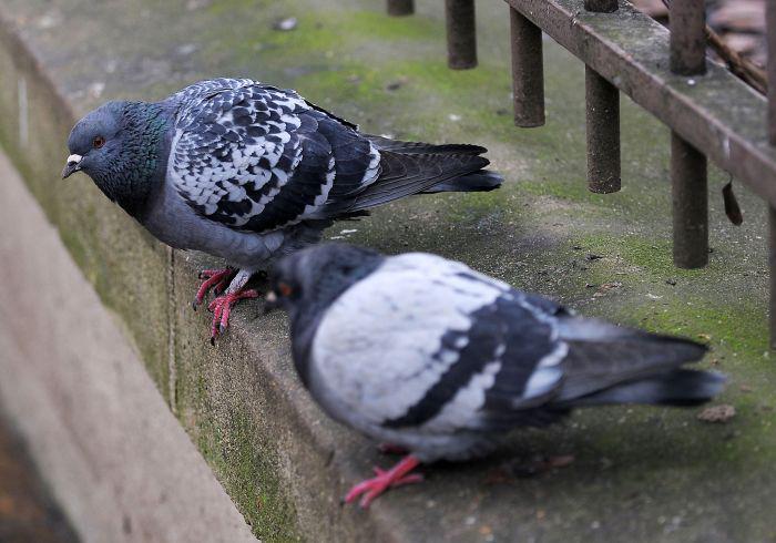 fot. Bloomberg fot. Bloomberg