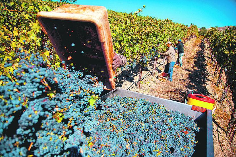 HOROSKOP DLA KALIFORNII: HOROSKOP DLA KALIFORNII: