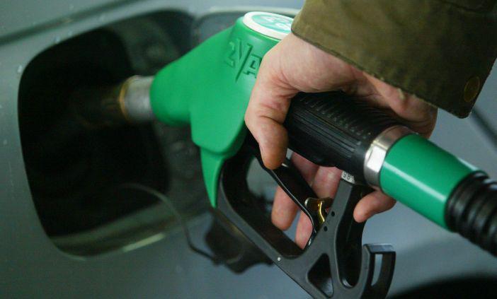 fot. Grzegorz Kawecki fot. Grzegorz Kawecki