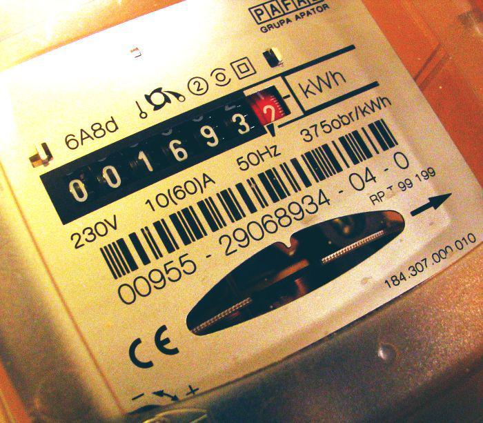 fot. Grzegorz Kawecki fot. Grzegorz Kawecki