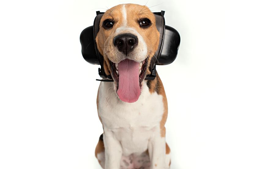 Wynalazek: Wynalazek: