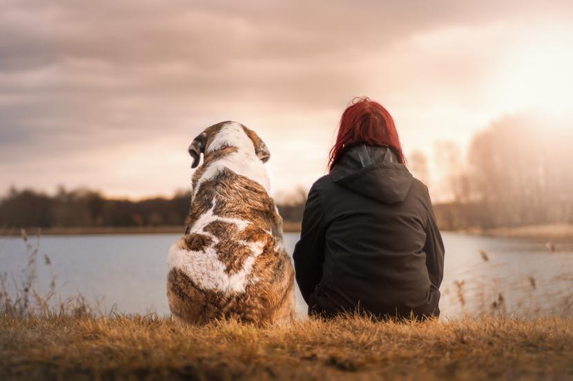 Zalety z posiadania psa zarówno dla naszego organizmu, jak i psychiki są szerokie.