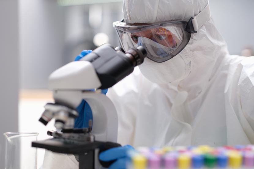 Brytyjscy badacze z prof. Żernicką-Goetz chcą wydłużyć rozwój zarodka myszy w laboratorium choćby o jeden lub dwa dni. Brytyjscy badacze z prof. Żernicką-Goetz chcą wydłużyć rozwój zarodka myszy w laboratorium choćby o jeden lub dwa dni.