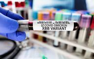 Wirusolog o wariancie XBB.1.5: przenosi się nawet 40 proc. szybciej