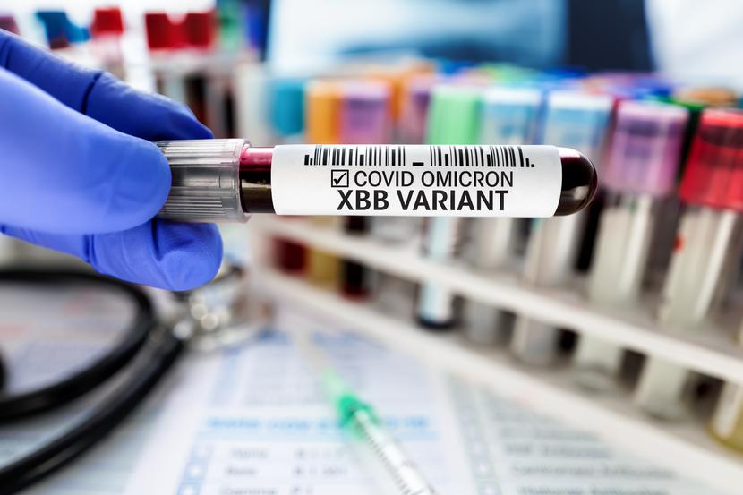 Niektórzy naukowcy uważają, że XBB.1.5 przenosi się nawet do 40 proc. szybciej niż dotychczasowe warianty SARS-CoV-2. Niektórzy naukowcy uważają, że XBB.1.5 przenosi się nawet do 40 proc. szybciej niż dotychczasowe warianty SARS-CoV-2.