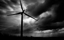 OZE stanowią 30 proc. globalnych dostaw energii elektrycznej