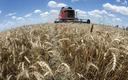 Nadzieje na wznowienie eksportu pszenicy z Ukrainy