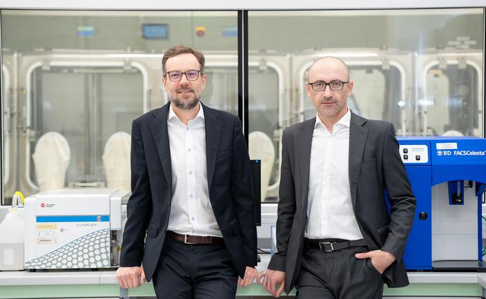 Rynek ukarał Bioceltix za opóźnienie. Kurs w dół, ryzyko w górę.