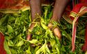 Tanzania chce znacząco zwiększyć produkcję herbaty