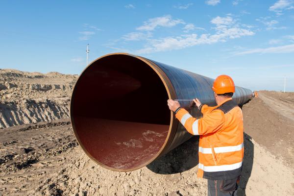 Mistrzowie przetargów rosną na lokalnym rynku