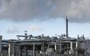 Holenderski regulator radzi znacznie zmniejszyć wydobycie gazu