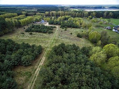 W tym miejscu w Tereszewie gmina Kurzętnik sprzedaje działki za pół ceny — informuje wójt Wojciech Dereszewski.