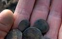 Pod Sewillą znaleziono 600 kg monet rzymskich