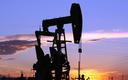 IEA: rekordowa produkcja ropy na Bliskim Wschodzie
