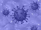Nanoprzynęty na koronawirusa pomogą w usuwaniu go z organizmu [BADANIE]