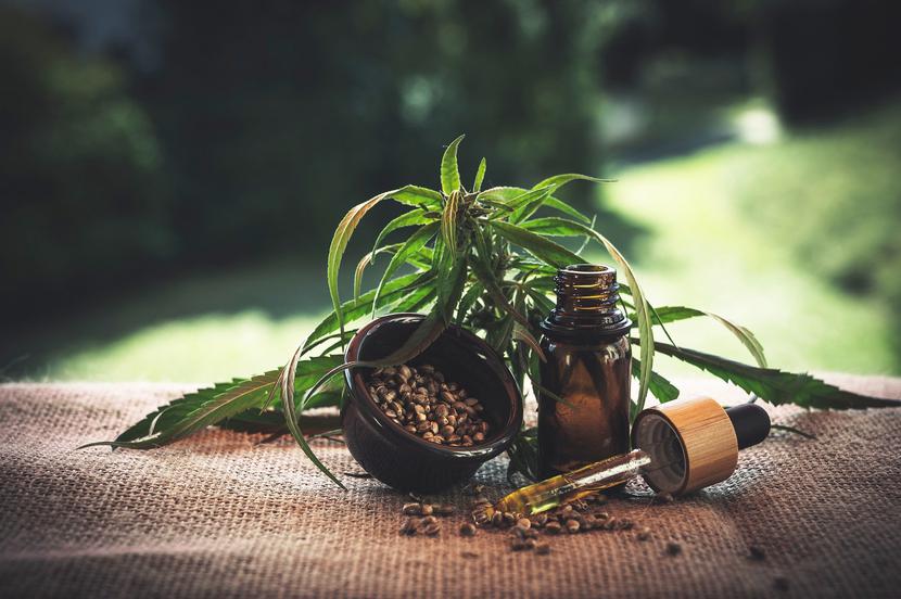 Medyczna marihuana stosowana w sposób prawidłowy jest dobrym lekiem, który przyniósł ulgę wielu cierpiącym osobom - zaznaczył wiceminister zdrowia. Medyczna marihuana stosowana w sposób prawidłowy jest dobrym lekiem, który przyniósł ulgę wielu cierpiącym osobom - zaznaczył wiceminister zdrowia.