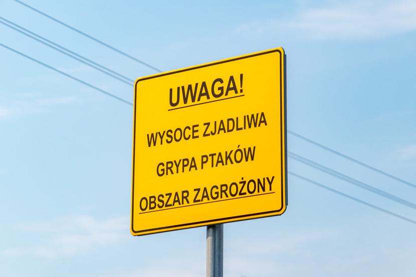 Wirus H5N1 znany jest od ok. 25 lat. Na początku wzbudzał bardzo duże emocje, ponieważ ma bardzo wysoką śmiertelność u ludzi. Wirus H5N1 znany jest od ok. 25 lat. Na początku wzbudzał bardzo duże emocje, ponieważ ma bardzo wysoką śmiertelność u ludzi.