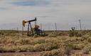 Rząd USA szuka sposobu ograniczenia konsumpcji rosyjskiej ropy
