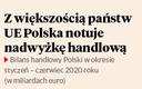 Polska może częściowo przejąć rolę Chin
