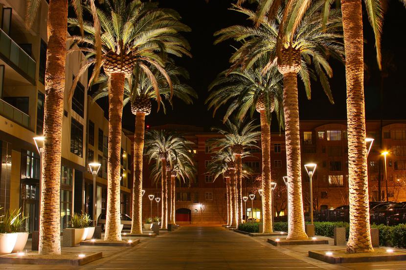 Centrum San Jose w amerykańskiej Dolinie Krzemowej - siedziba większości światowych technologicznych korporacji (FOT. Michael/Wikipedia Commons)