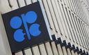 OPEC+ zdecydował o zmniejszeniu wydobycia ropy o 2 mln baryłek