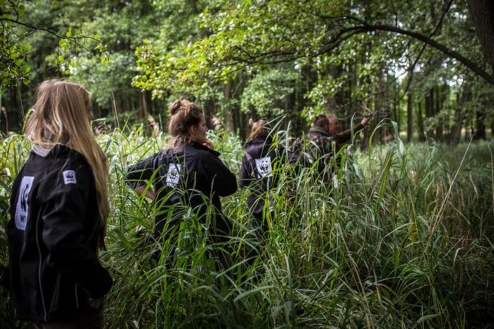 W poszukiwaniu rysi i żubrów: