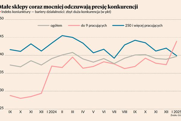 Sklepy pod presją konkurencji. Pięć najciekawszych wykresów o handlu